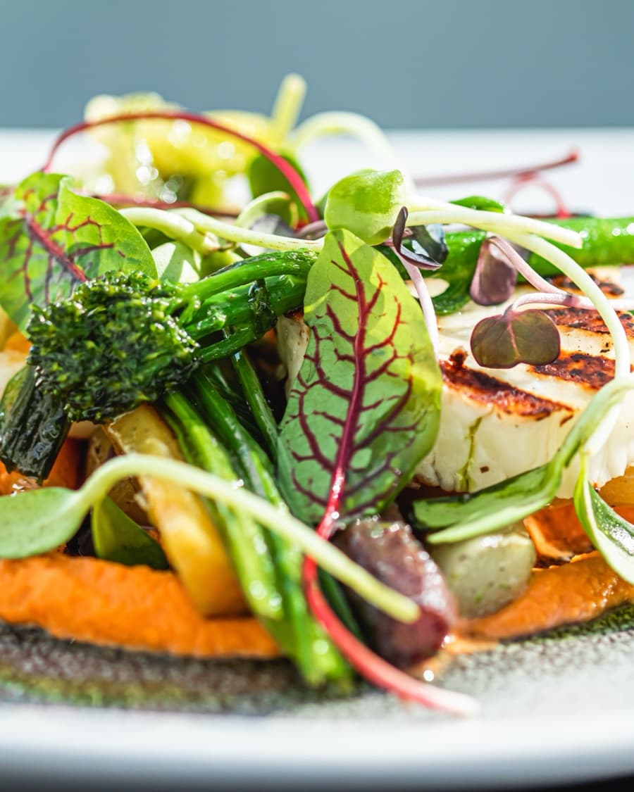 A plated gourmet dish of grilled vegetables and greens